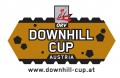 <p><a href="http://nyx.at/oervcup/news-pid511">www.downhill-cup.at</a></p>